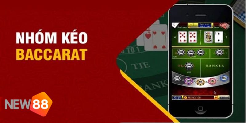 Nên hay không tham gia vào nhóm kéo Baccarat