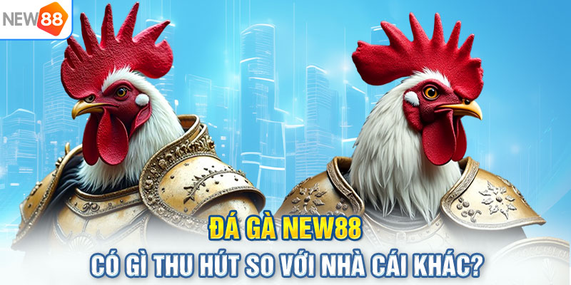 Đá gà NEW88 có gì thu hút so với nhà cái khác? 